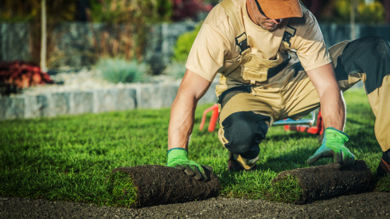 Ways to Advertise Your Local Lawn Care Contractor Business